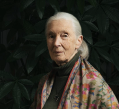 الویداع جئین قودال!