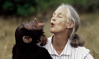 Əlvida Jane Goodall!